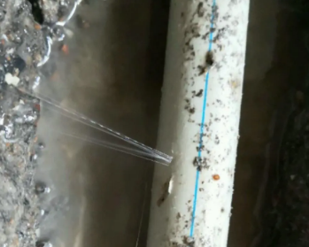 双辽卫生间测漏水多少钱