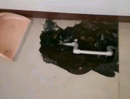 双辽卫生间测漏水多少钱